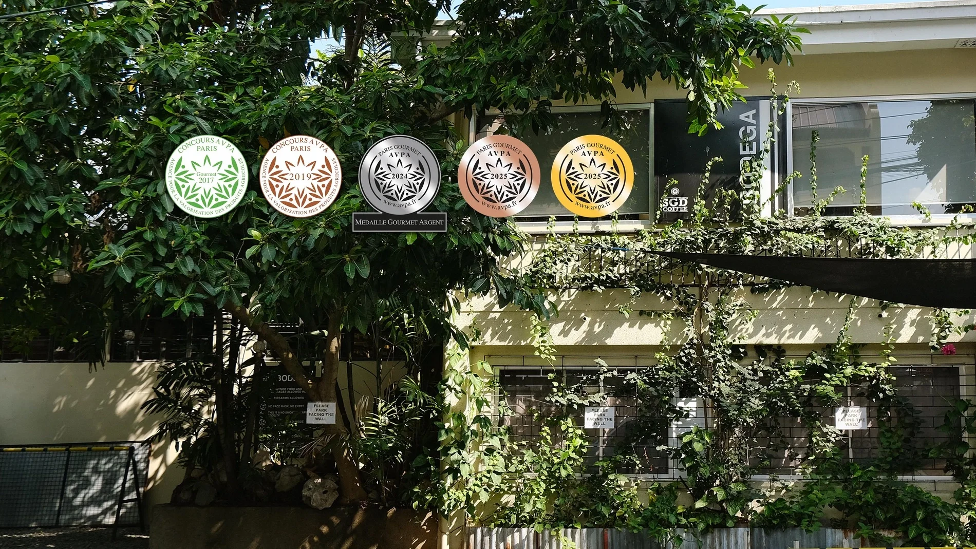 SGD Bodega / SGD Coffee